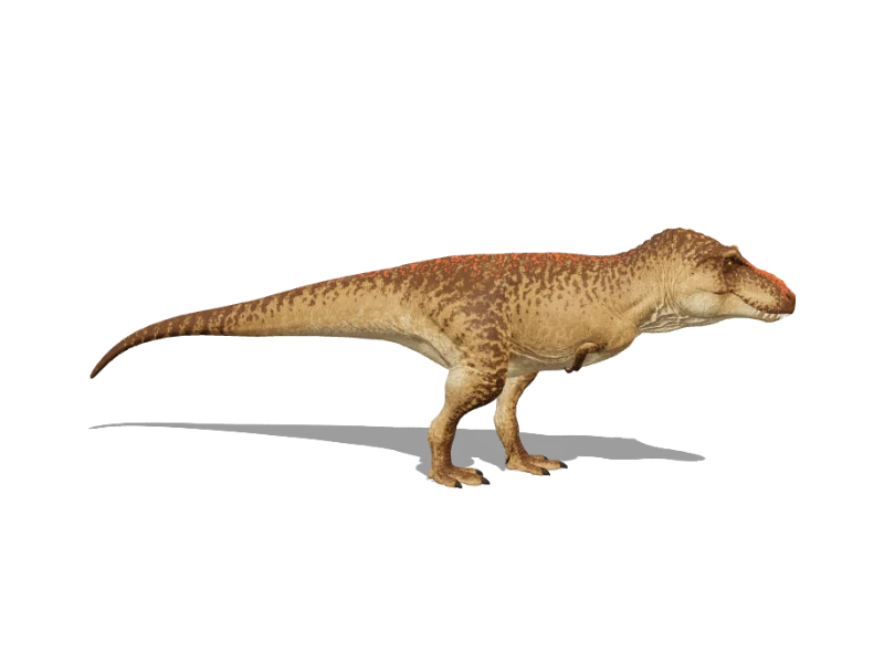 Tyrannosaurus